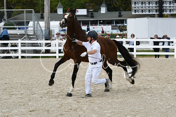 HSM_1439