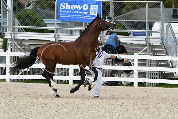 HSM_1445