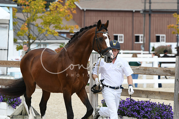 HSM_1450