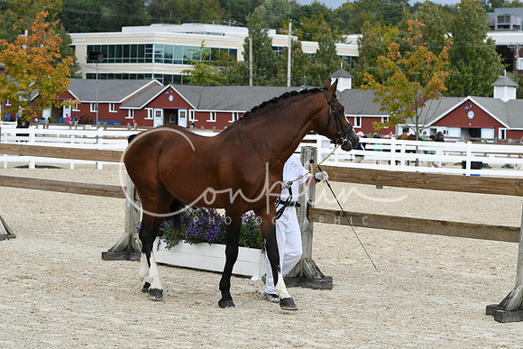 HSM_1451