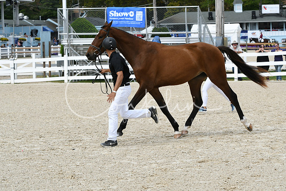 HSM_1459