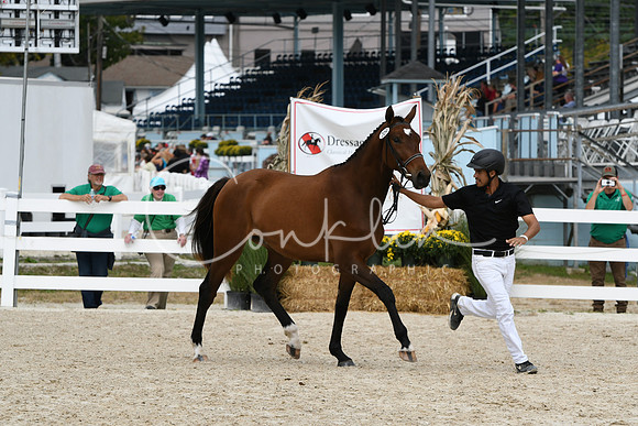 HSM_1466