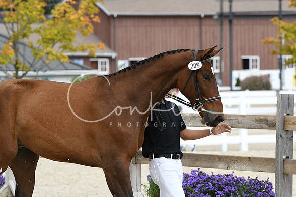 HSM_1467