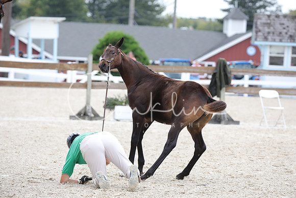 795A1094