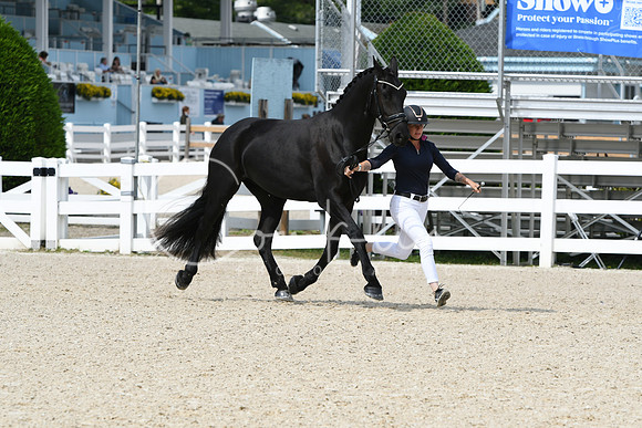 HSM_1340