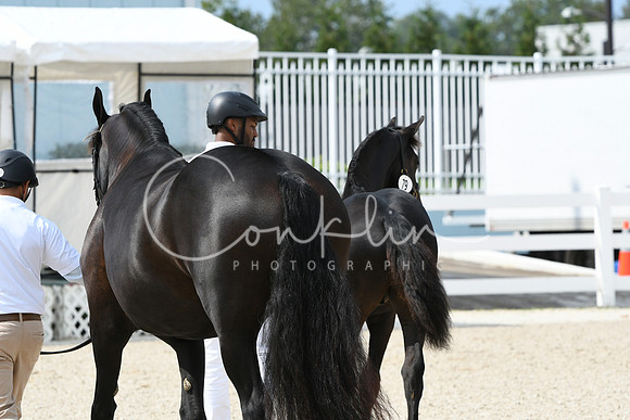 HSM_1360