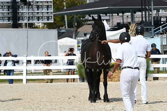 HSM_1402