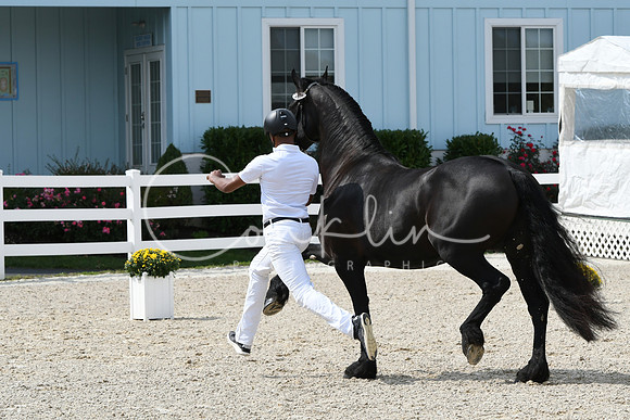 HSM_1408