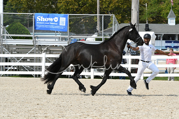 HSM_1413