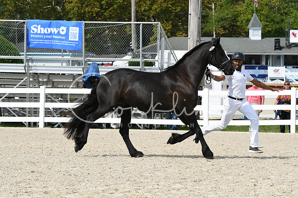 HSM_1414