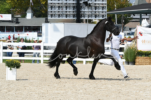 HSM_1418