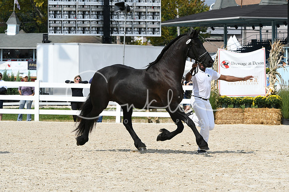 HSM_1419