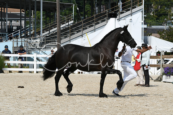 HSM_1420