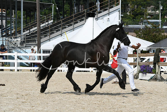 HSM_1421