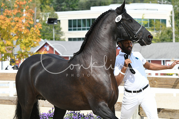 HSM_1422