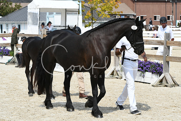 HSM_1426