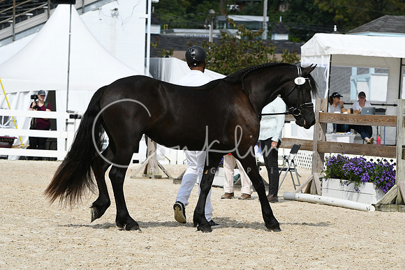 HSM_1304