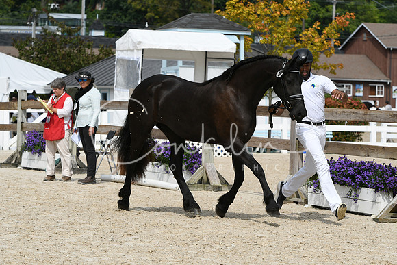 HSM_1319