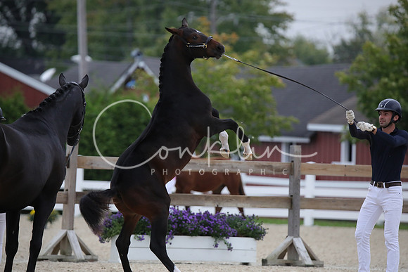 795A1962