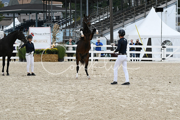 HSM_2164