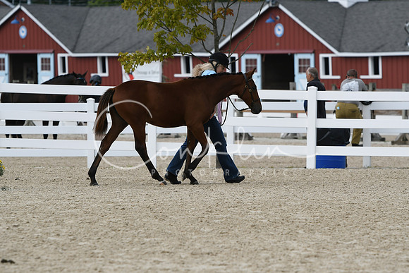 HSM_2283