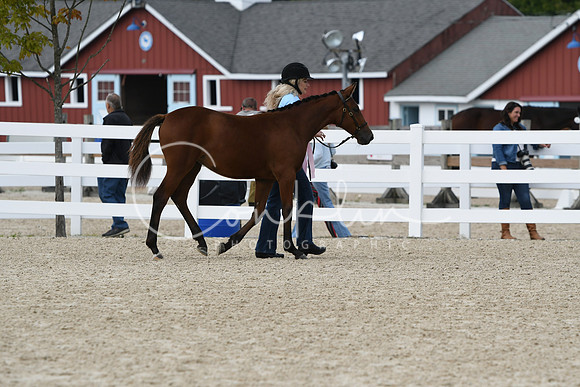 HSM_2284