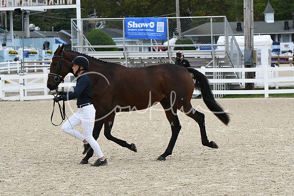 HSM_2317