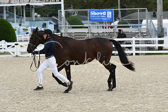 HSM_2318