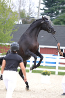 795A2198