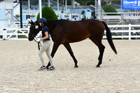 HSM_2295