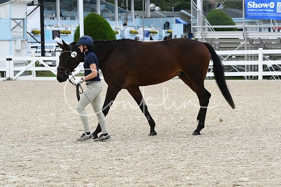 HSM_2295