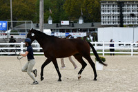 HSM_2296