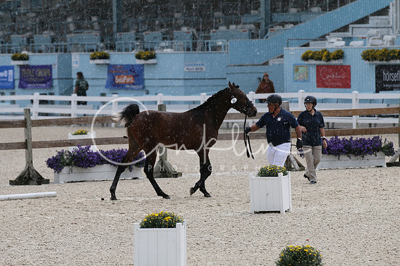 IMG_2447