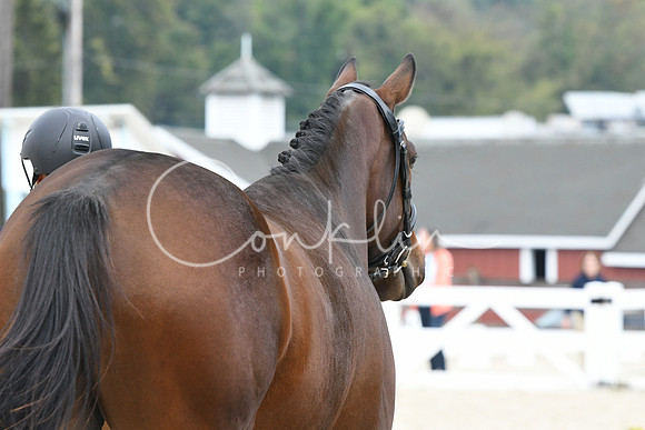 HSM_1093