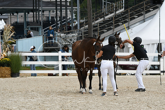HSM_0922