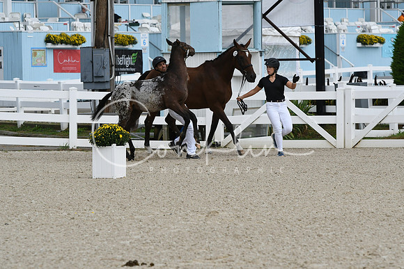 HSM_0941