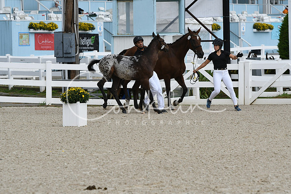 HSM_0943