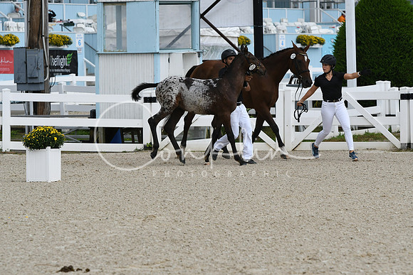 HSM_0944