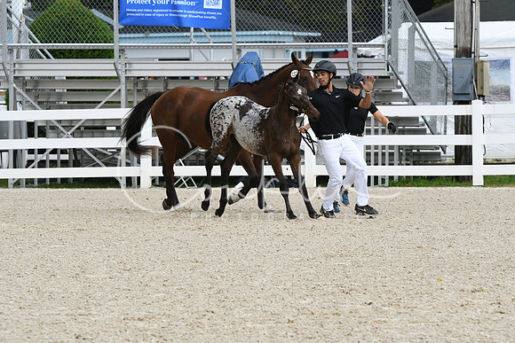 HSM_0947