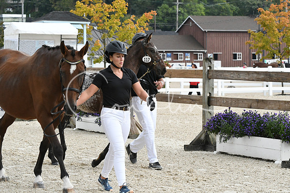 HSM_0960