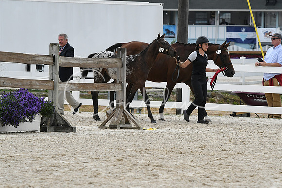 HSM_1058