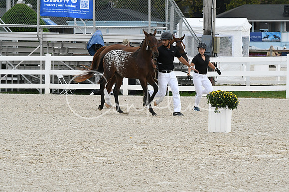 HSM_1023