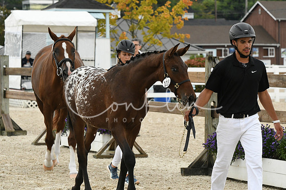 HSM_1029