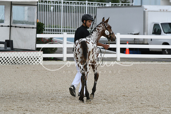 HSM_0974