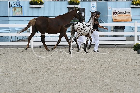 HSM_0984