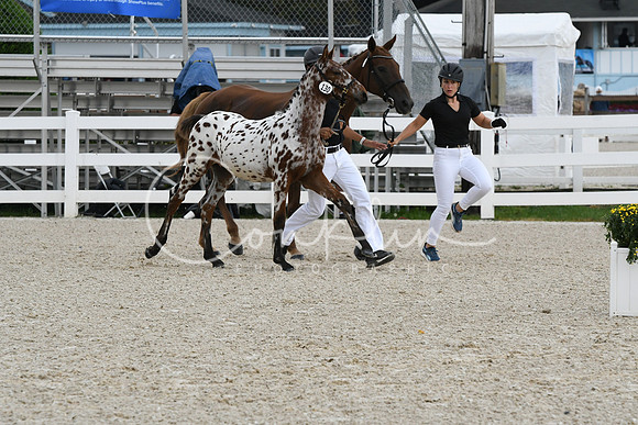 HSM_0988