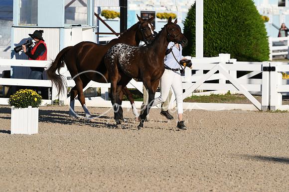 HSM_3107