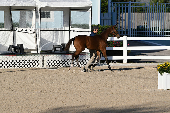 HSM_3156