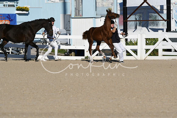 HSM_3322