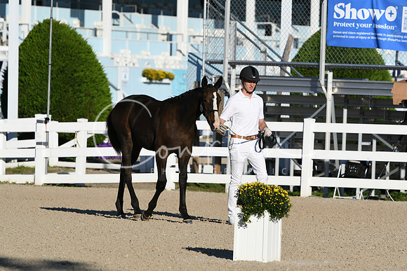 HSM_3197